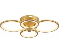 Потолочная люстра EVOLED Leto SLE200322-04