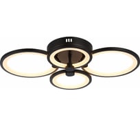 Потолочная люстра EVOLED Leto SLE200342-04