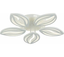 Потолочная люстра EVOLED Seteko SLE501352-05