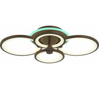 Потолочная люстра EVOLED Leto SLE200372-04RGB