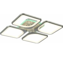 Потолочная люстра EVOLED Valiano SLE500492-04RGB