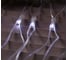 Сеть Luazon SPEC IP44 УМС, Ш2м, В3м, Н.С. 3W LED-384-220V, белый 2361697 2