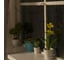 Бахрома Luazon ECO IP20, Ш1.8 м, В0.5 м, Н.Т. LED-48-220V, 8 режимов, мульти 3556836 3