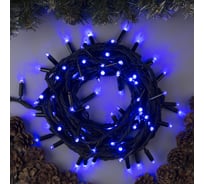 Нить Luazon PRO IP65, УМС, 10 м, Н.Т. 3W LEDIP65-O-100-220V, синий 3584119