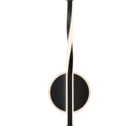 Настенный светильник (бра) Freya FR6217WL-L24B