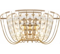 Настенный светильник (бра) Freya FR1016WL-02G