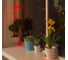 Бахрома Luazon ECO IP20, Ш3 м, В0.5 м, Н.Т. LED-80-220V, 8 режимов, красный 3556859 1