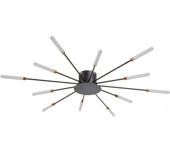 Люстра BayerLux 194812 LED 24Вт черный 80х80х6 см 6712021