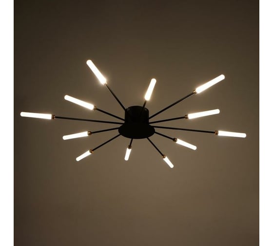 Люстра BayerLux 194812 LED 24Вт черный 80х80х6 см 6712021