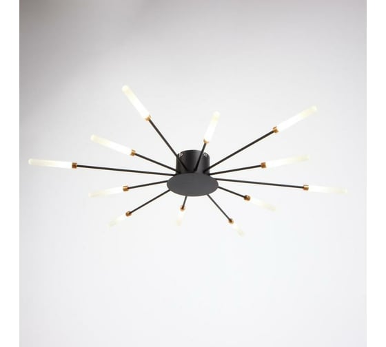Люстра BayerLux 194812 LED 24Вт черный 80х80х6 см 6712021
