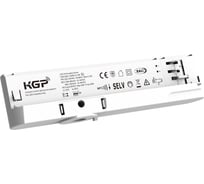 Драйвер-адаптер KGP TRACK DALI 4 WIRES 42W 3-42V 300-1050mA черный T42C300-1050N-D-4B