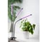 Фитосветильник для растений Avrora Light ALG0012023, 11.5 Вт 3