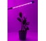 Фитосветильник для растений Avrora Light ALG0012023, 11.5 Вт 8