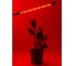 Фитосветильник для растений Avrora Light ALG0012023, 11.5 Вт 10