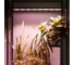 Светильник Uniel ULT-P70B-100W/SPLE/L105 WHITE WINTERGARDEN UL-00011264 4