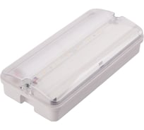 Светильник светодиодный влагозащищенный с БАП Uniel ULW-K25B 6W/4000K/EMG IP65 WHITE UL-00013352