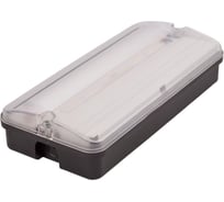 Светильник светодиодный влагозащищенный с БАП Uniel ULW-K25B 6W/4000K/EMG IP65 BLACK UL-00013353