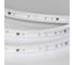 Светодиодная лента герметичная Arlight ARL-PV-A84-17mm 230V Warm2700 10м 054692 2