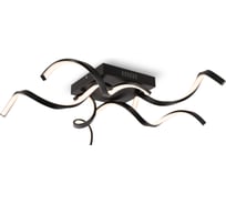 Потолочный светильник Freya FR6022CL-L50B