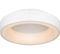 Потолочный светильник Freya FR6118CL-L45W