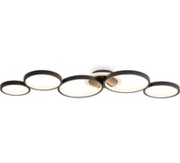 Потолочный светильник Freya FR6201CL-L150GB