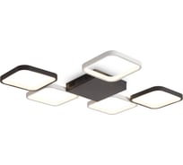 Потолочный светильник Freya FR6201CL-L145BW