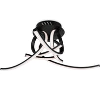 Потолочный светильник Freya FR6023CL-L45B