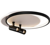 Потолочный светильник Freya FR6083CL-L106WB