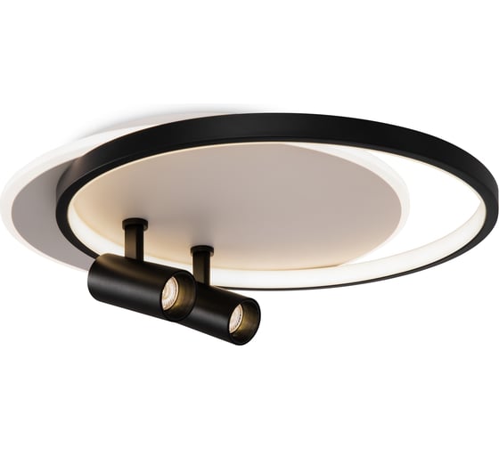 Потолочный светильник Freya FR6083CL-L106WB 1