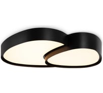 Потолочный светильник Freya FR6079CL-L72B