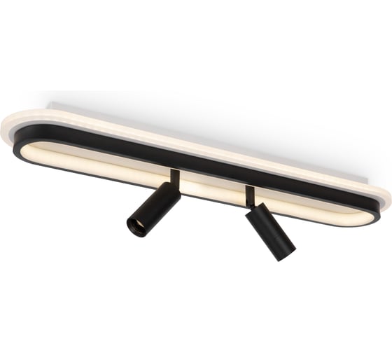 Потолочный светильник Freya FR6088CL-L48B 1