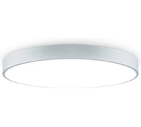 Потолочный светильник Freya FR6129CL-L80GR