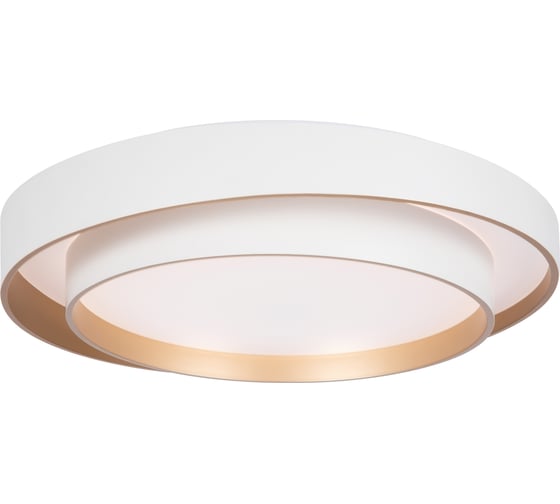 Потолочный светильник Freya FR6085CL-L72WG 1