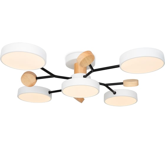 Потолочный светильник Freya FR6119CL-L60W 1