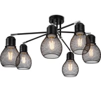 Люстра Freya FR5069PL-06B