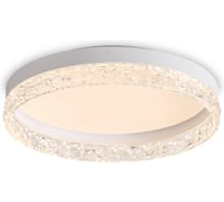 Потолочный светильник Freya FR6193CL-L48W