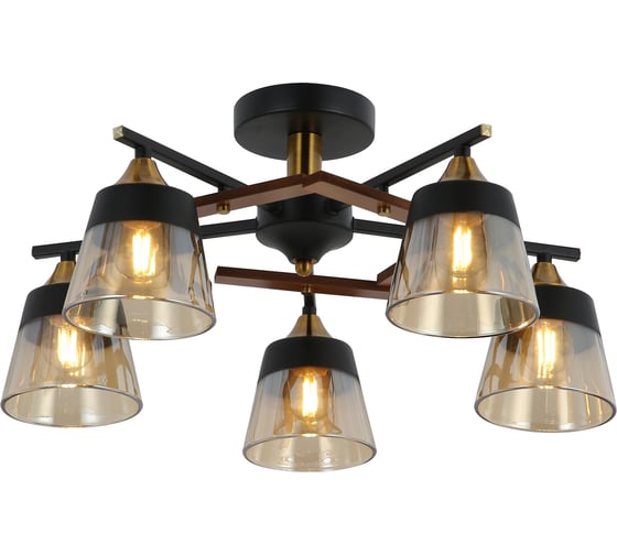 Люстра Freya FR5153PL-05B 1