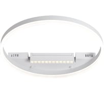 Потолочный светильник Freya FR6084CL-L68W