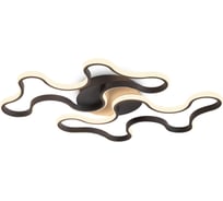 Потолочный светильник Freya FR6212CL-L112B