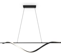 Подвесной светильник Freya FR6060PL-L48B