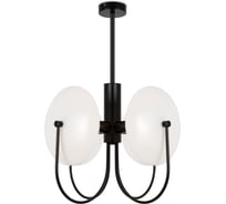 Подвесной светильник Freya FR5320PL-04B