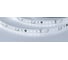 Светодиодная лента Arlight DMX-A96-12mm 24V White6000-PX12 5м 058171 2