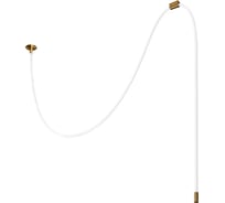 Потолочный светодиодный светильник LOFT IT Thread 10388A Brass