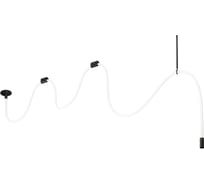 Потолочный светодиодный светильник LOFT IT Thread 10388B Black