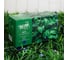 Нить Luazon ECO IP44, 20 м, Н.Т. LED-200-1.2VSOLAR, 2 режима, синий 4137013 5