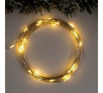 Нить Luazon ROSA IP65, 5 м, Н.С. LED1608-50-4.5V, ААx3 не в комплекте, 8 режимов, теплый белый 5198334