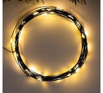 Нить Luazon ROSA IP20, 5 м, Н.З. LED1608-50-4.5V, ААx3 не в комплекте, 2 режима, теплый белый 5198327