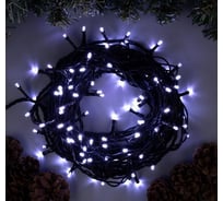 Нить Luazon ECO IP44, 10 м, Н.Т. LED-100-220V, 8 режимов, белый 705560