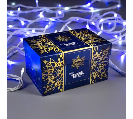 Гирлянда-нить Luazon SPEC, IP44, УМС, 10 м, Н.Б., 3W, LED-100-220V, белый/синий 1080040
