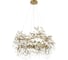 Подвесная люстра LOFT IT Coral 10351/1000 AB 3